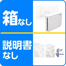 箱なし・説明書なし